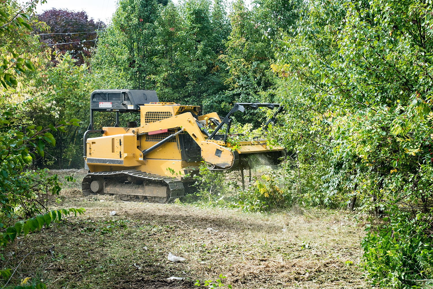 Forestry Mulching Clearing Underbrush